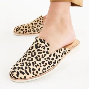 Derby Mule Camel Leopard